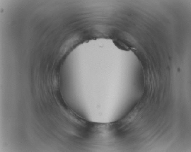 X0000070250084200606232018