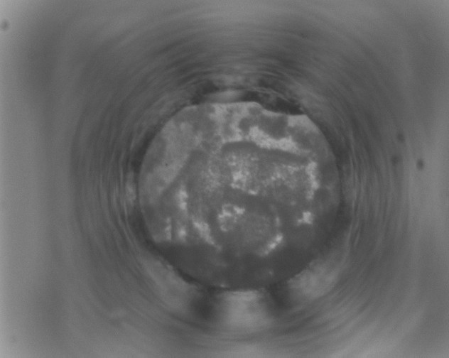 X0000070250085200606232018