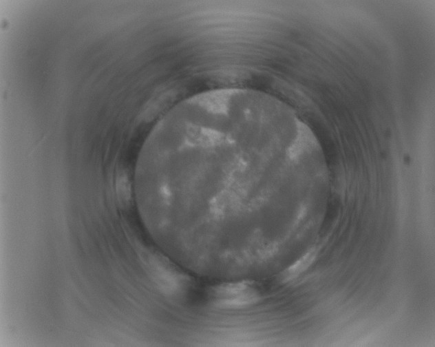 X0000070250086200606232018