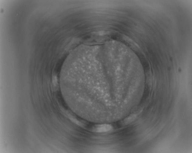 X0000070250087200606232018