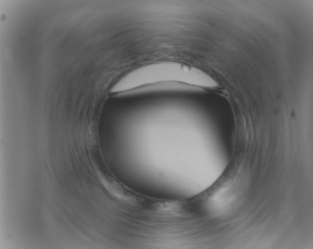 X0000070250088200606232018