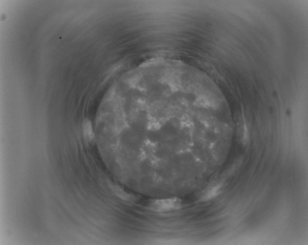 X0000070250089200606232018