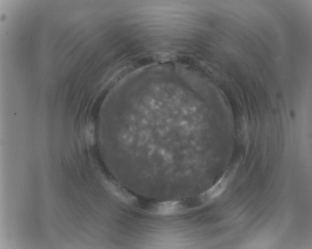 X0000070250090200606232018