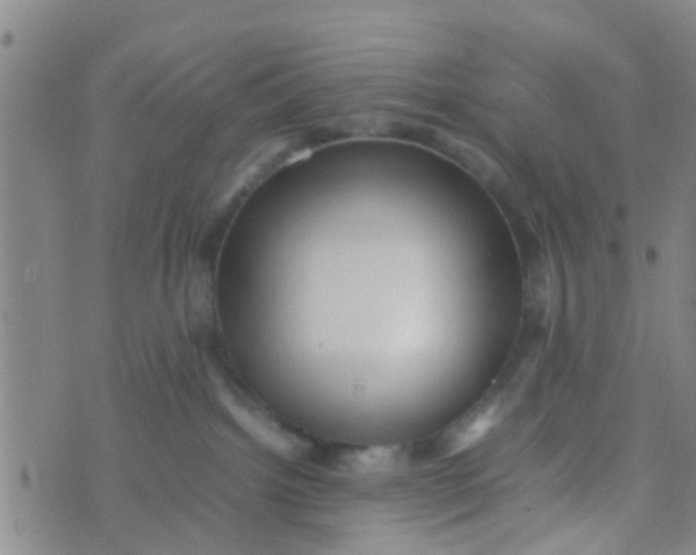 X0000070250092200606232018