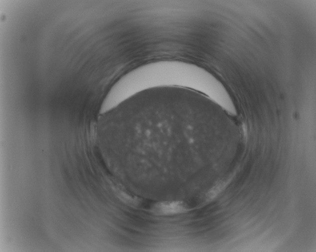 X0000070250093200606232018