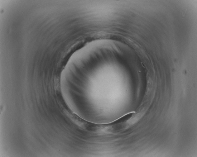 X0000070250096200606232019