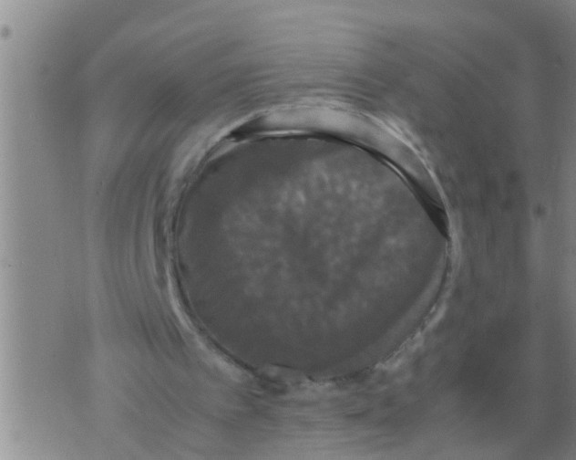 X0000070250097200606232018