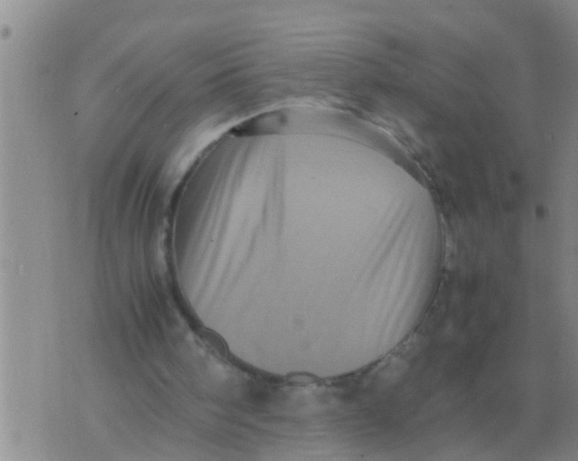 X0000070250098200606232018