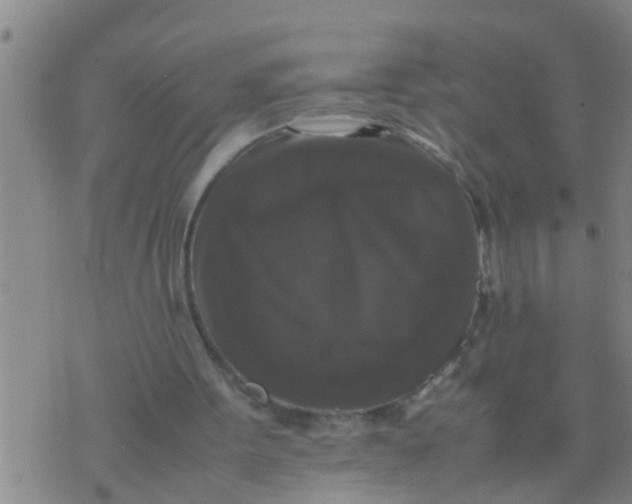 X0000070250099200606232018