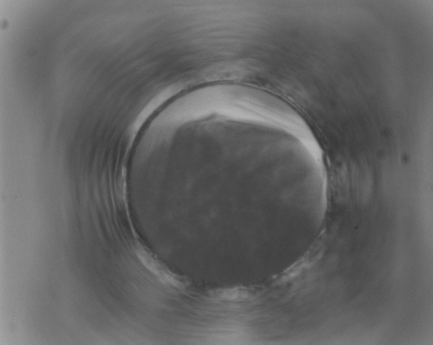 X0000070250100200606232018