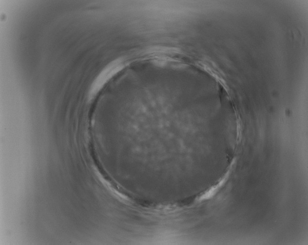 X0000070250101200606232018