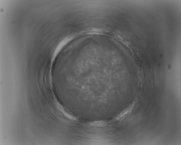 X0000070250102200606232018