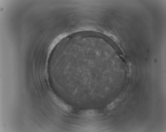 X0000070250104200606232018