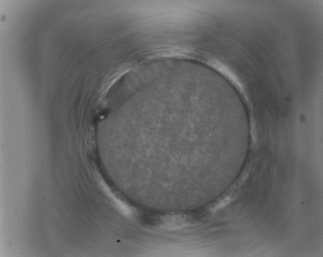 X0000070250105200606232018