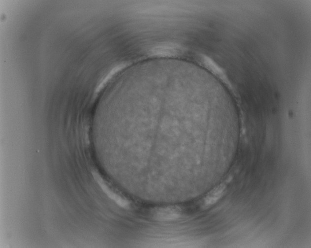 X0000070250106200606232018