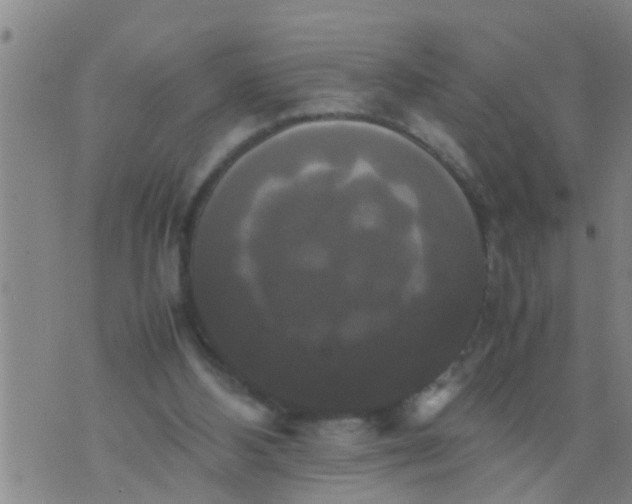 X0000070250108200606232018