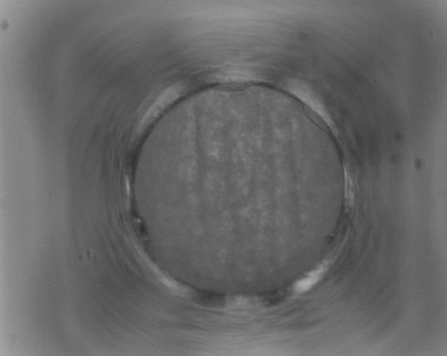 X0000070250109200606232018