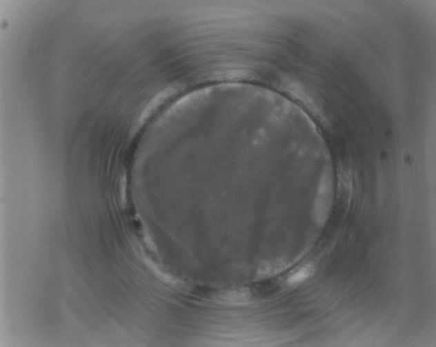 X0000070250110200606232018