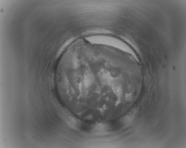 X0000070250111200606232017