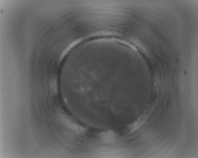 X0000070250112200606232017