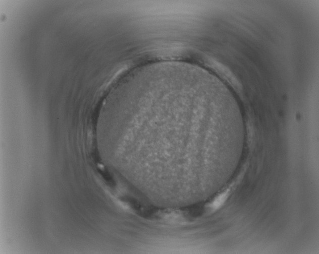 X0000070250113200606232017