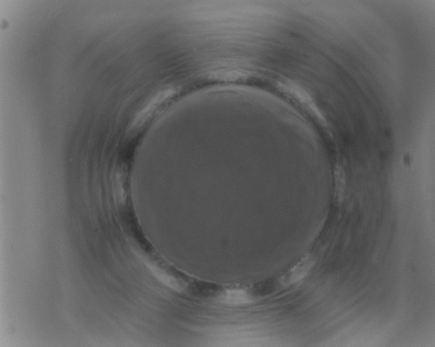 X0000070250114200606232017