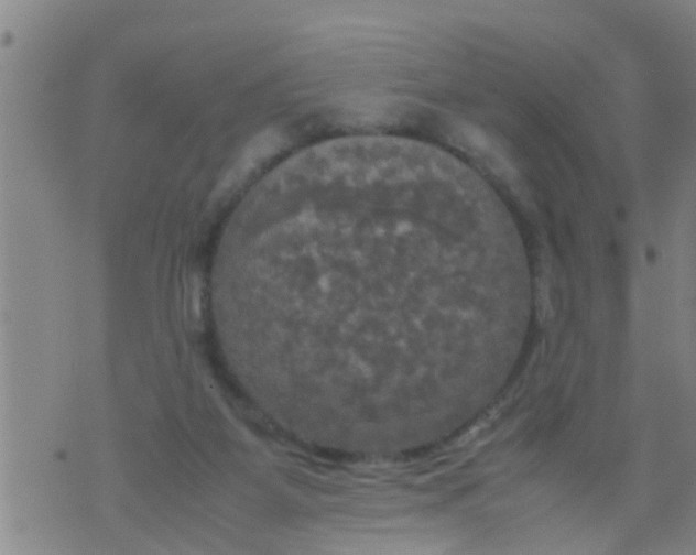 X0000070250115200606232017