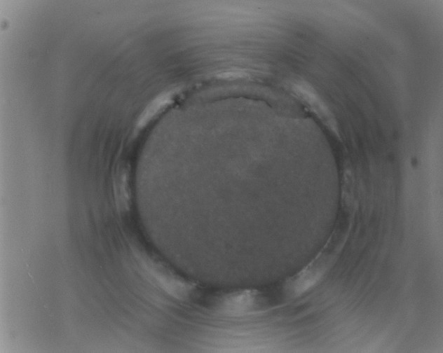 X0000070250116200606232017