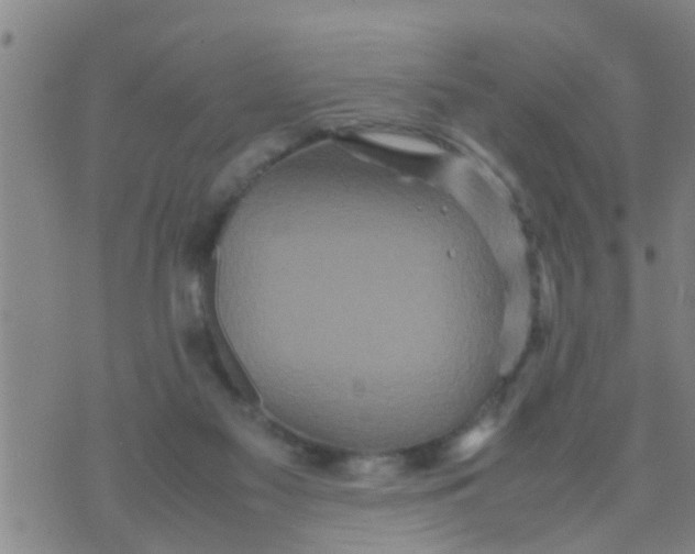 X0000070250117200606232017