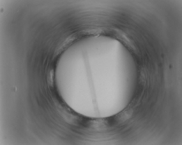 X0000070250118200606232017