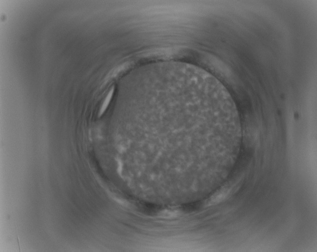 X0000070250119200606232017