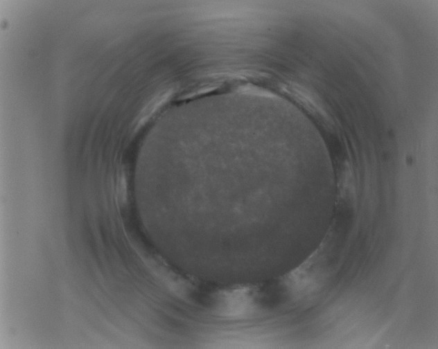 X0000070250120200606232017