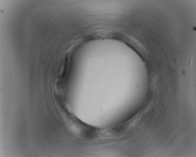 X0000070250121200606232017