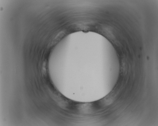 X0000070250122200606232017