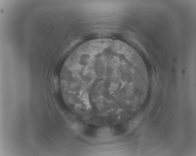 X0000070250123200606232017