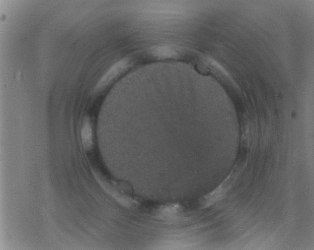 X0000070250124200606232017