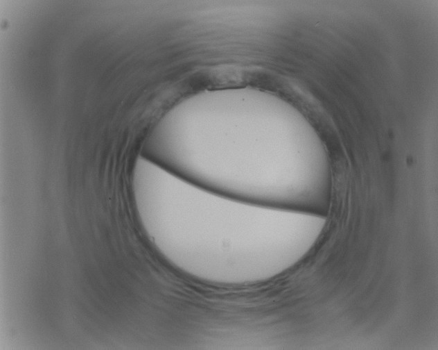 X0000070250125200606232017