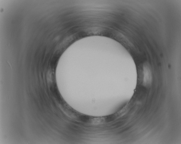 X0000070250126200606232017