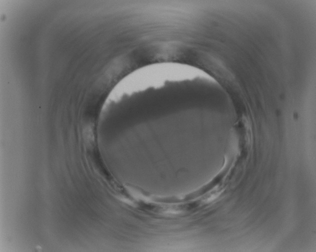 X0000070250127200606232017