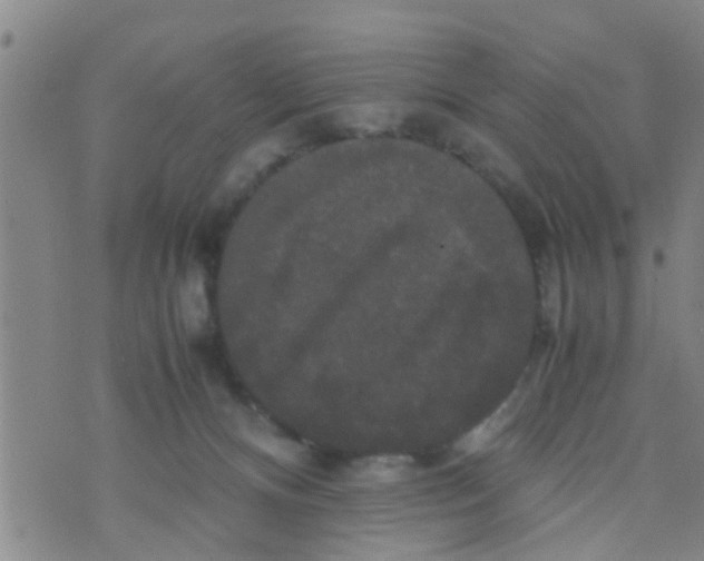 X0000070250128200606232017