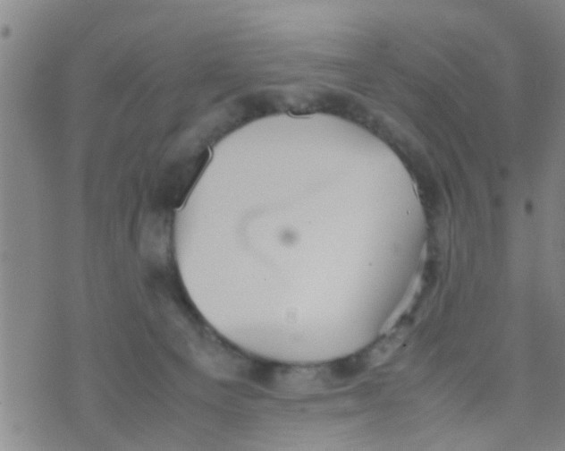 X0000070250129200606232017