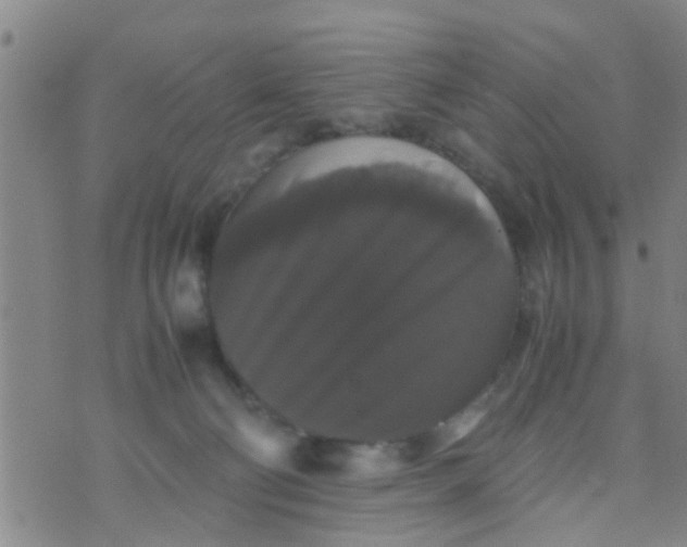 X0000070250130200606232017