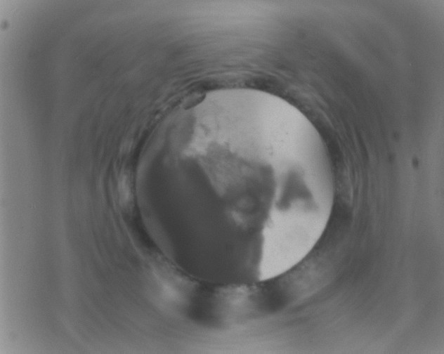 X0000070250131200606232017