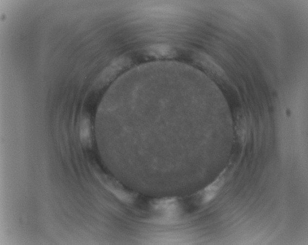 X0000070250132200606232017