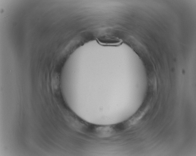 X0000070250133200606232017