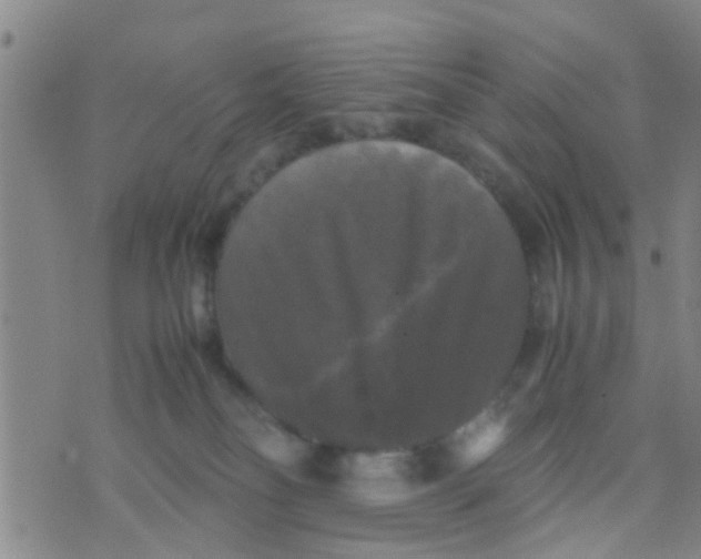 X0000070250134200606232017