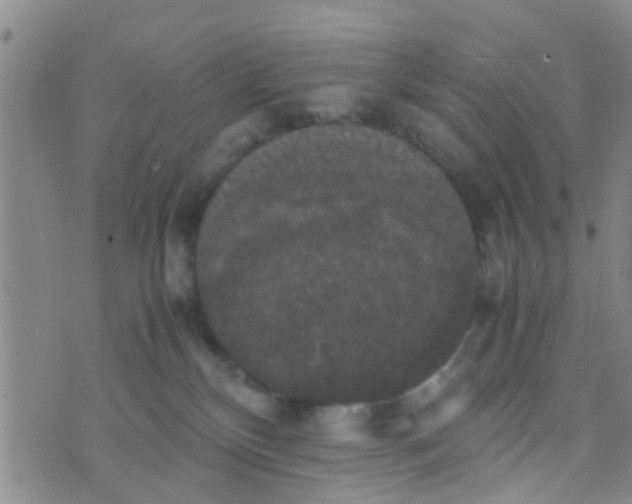 X0000070250136200606232017