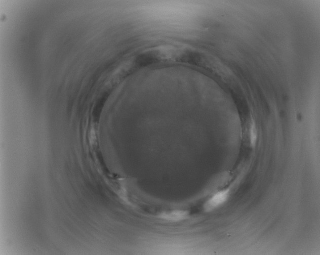 X0000070250137200606232017