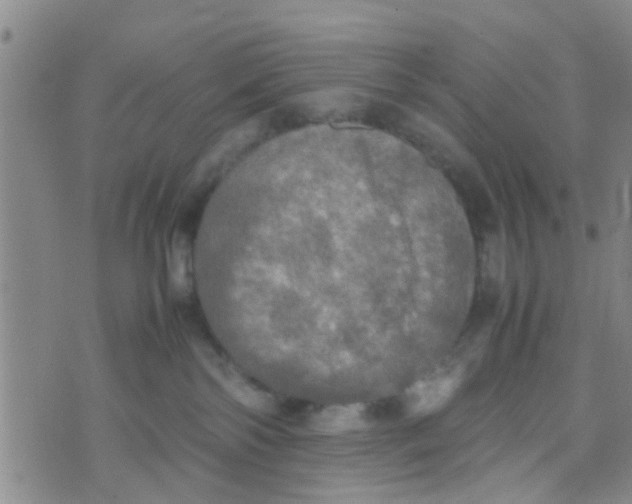 X0000070250138200606232017