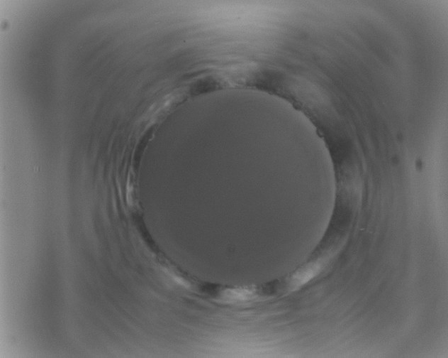 X0000070250139200606232017